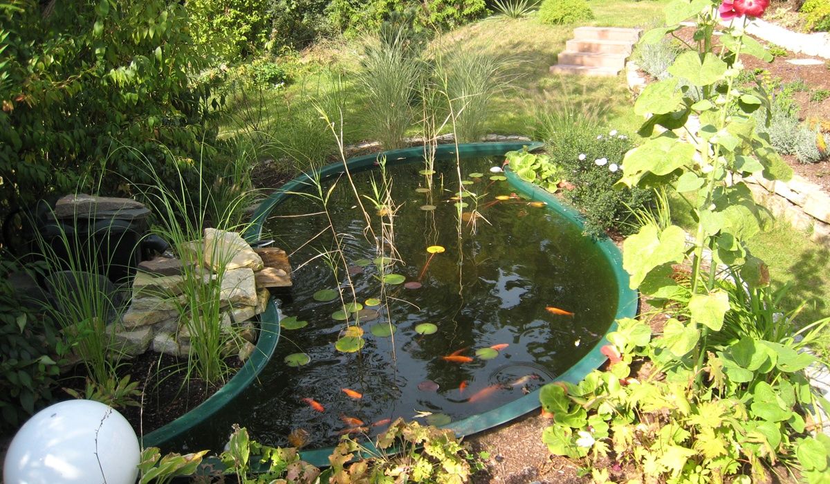 Teichbecken im Garten für Fische mit Sonderform